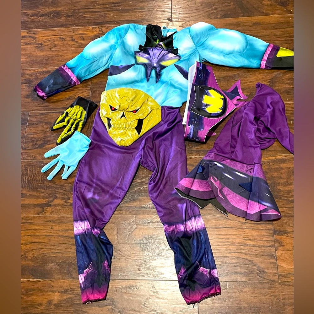Kids Master of the Universe Skeletor Costume